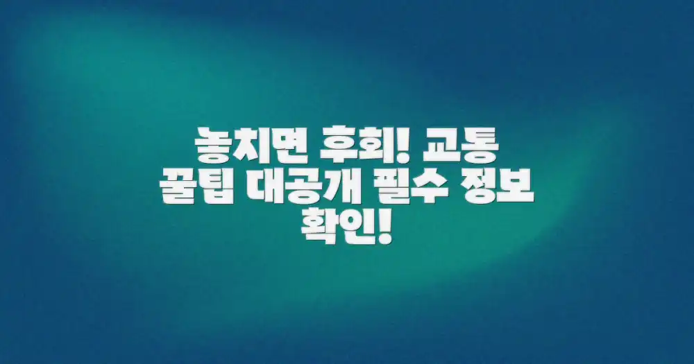 놓치면 후회! 필수 교통 꿀팁