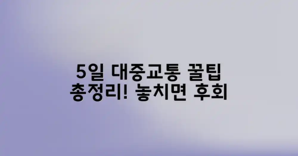 5일간 대중교통 완벽 가이드