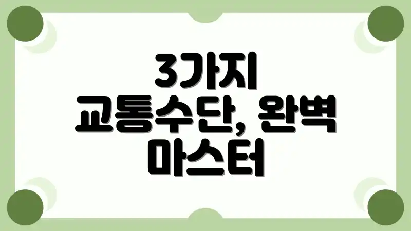 3가지 교통수단, 완벽 마스터