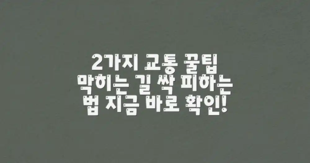 2가지 교통 꿀팁