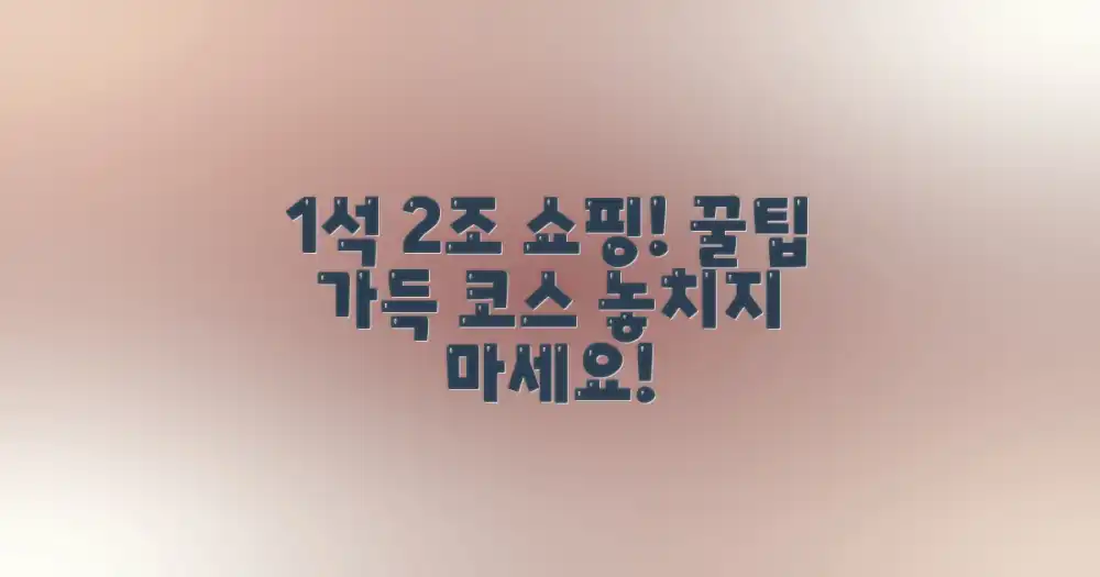 1석 2조 쇼핑 코스