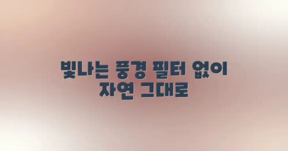 필터 없이 빛나는 풍경