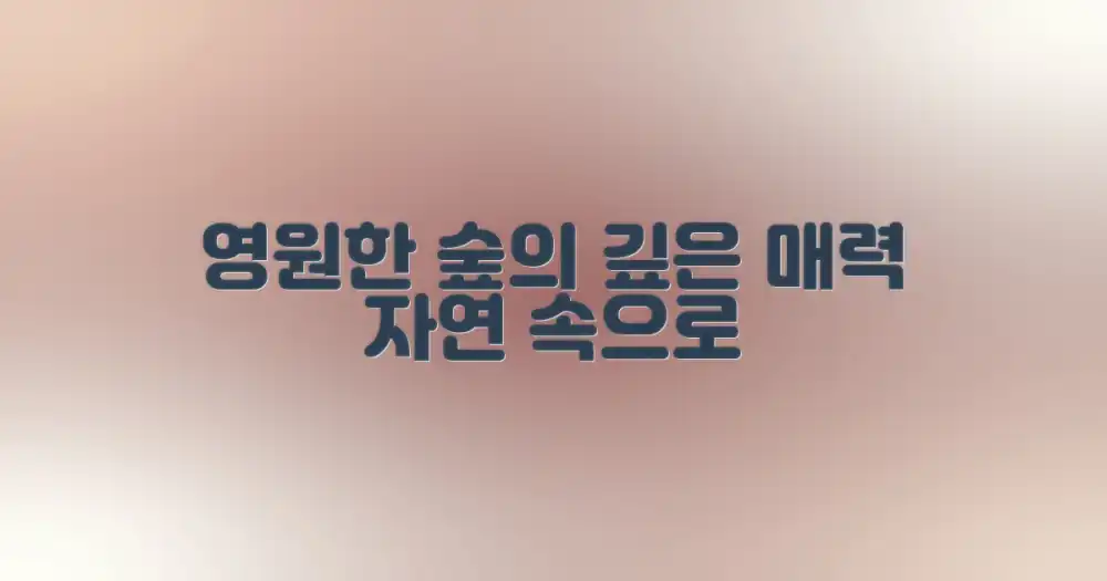 영원한 자연의 숲, 그 깊은 매력