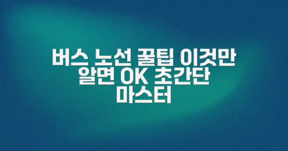 버스 노선, 이것만 알면 끝