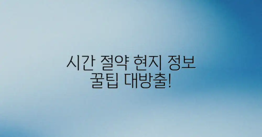 시간 절약 현지 정보