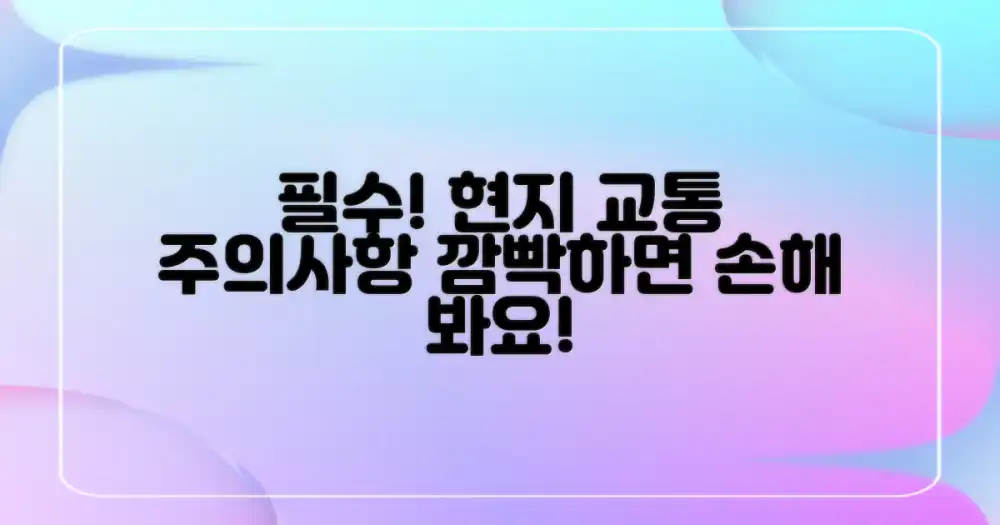 놓치면 후회! 현지 교통수단 주의사항