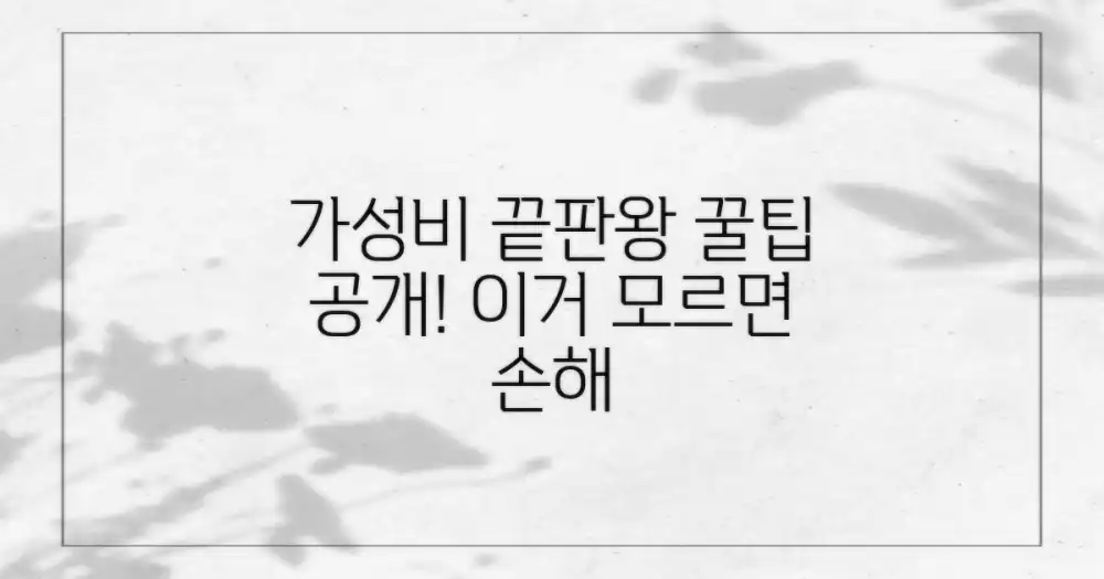 가성비 최고, 꿀팁은?