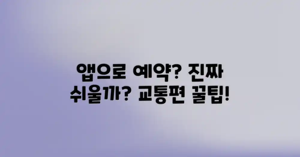 앱으로 교통편 예약, 정말 쉬울까?
