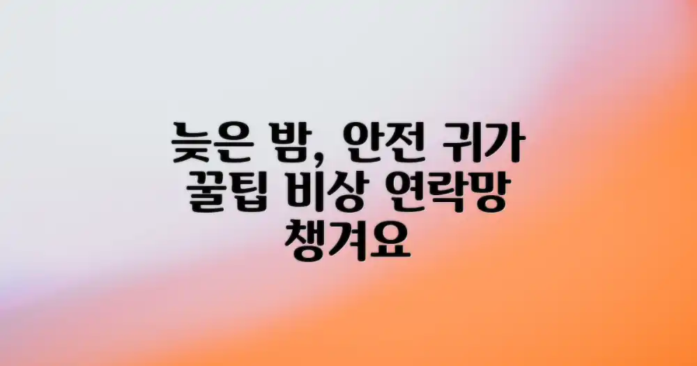 늦은 밤, 안전하게 이동하는 팁